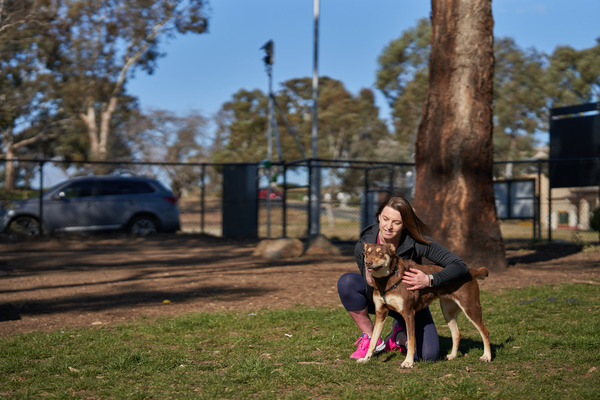 A woman pats her dog in a fenced dog park.