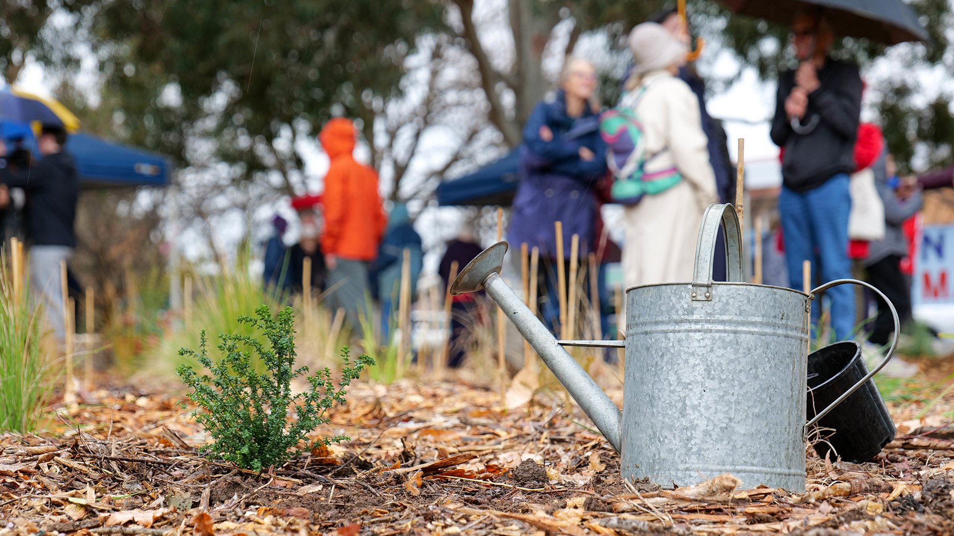 A tin watering can in a garden. People stand behind it.