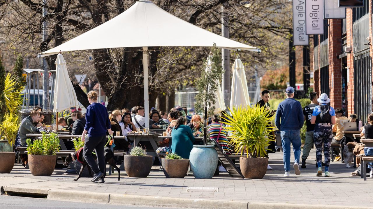 Outdoor dining on Elouera Street surrounded by pot plants. 