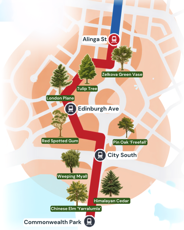 Map of the centre of Canberra indicating various tree species to be planted along corridor.