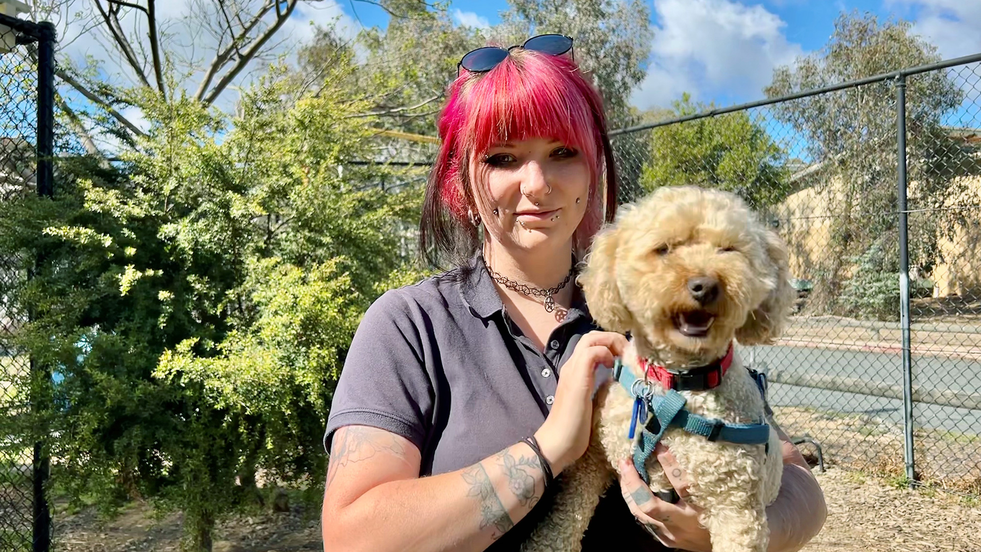 A woman with pink hair holds a small dog