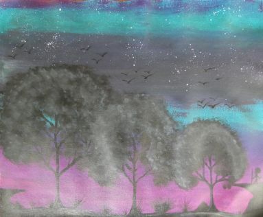 Starry Night Sky