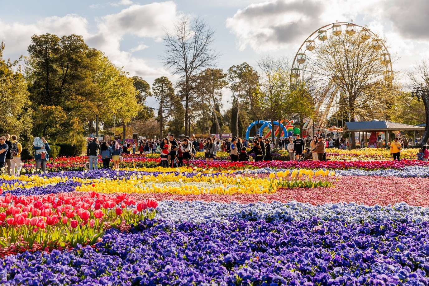 Large beds of colourful tulips and flowering plants in shades of red, yellow, pink, purple and blue fill the foreground of a landscaped garden. Visitors walk along paths between the flower displays, while a large Ferris wheel rises above the trees in the background