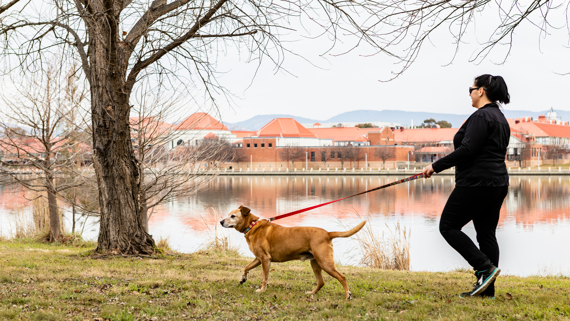 A woman walks her dog beside a lake with a town centre in the background.