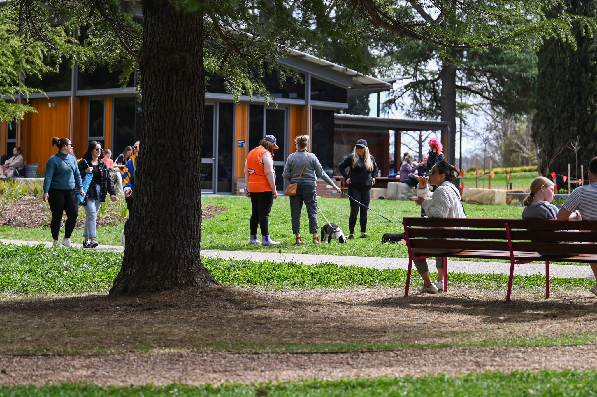 People and their dogs enjoying Haig Park during a PAWS Party, with the Salthouse Community Centre in the background