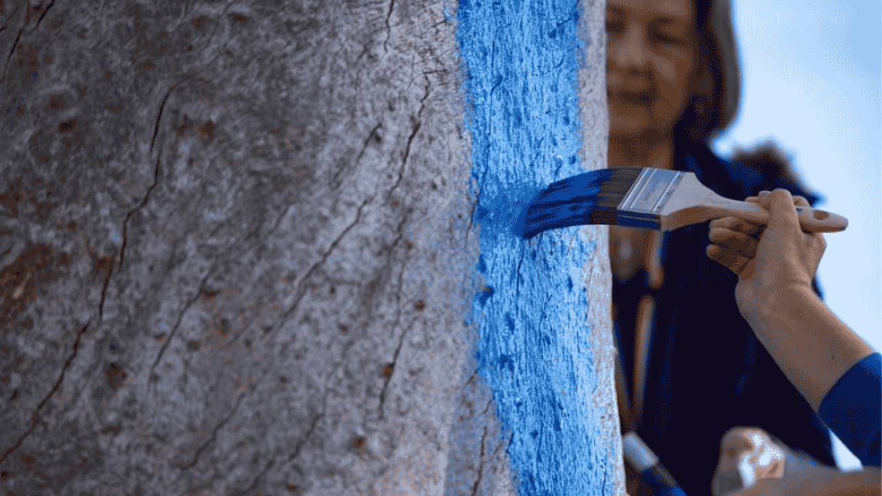 A person paints a tree with blue paint.