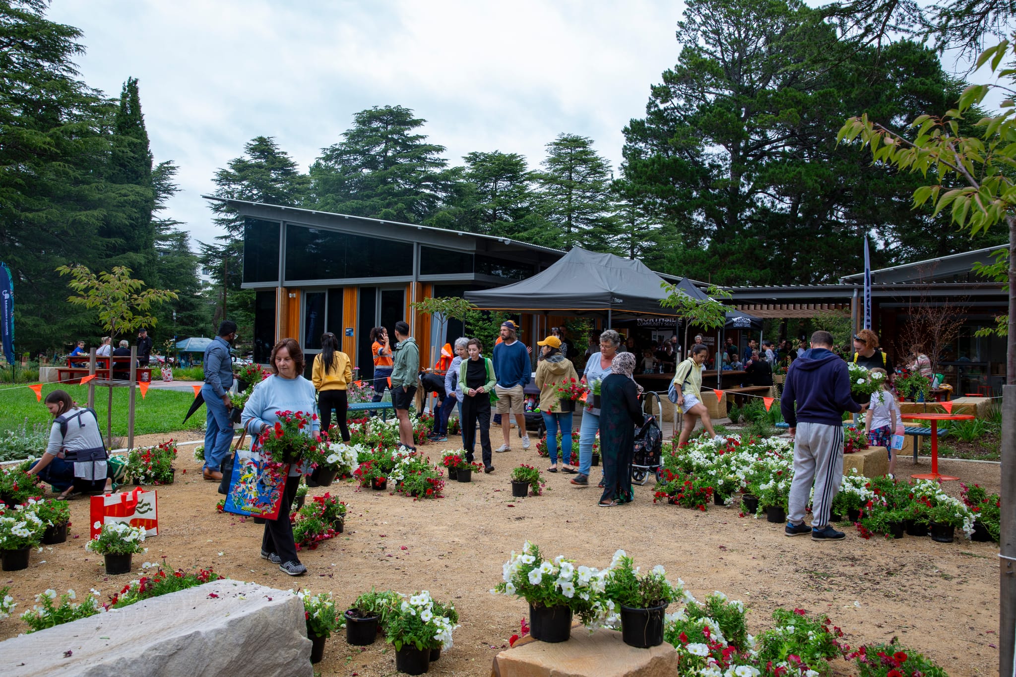 People selecting their free plants at the Authority&rsquo;s plant giveaway in January 2024.