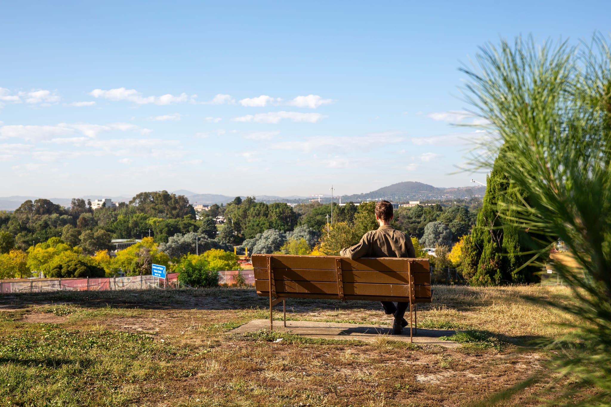 Person sits on top of City Hill in Canberra overlooking the lake on a bench seat. A tree is in the foreground and light rail fencing can be seen 