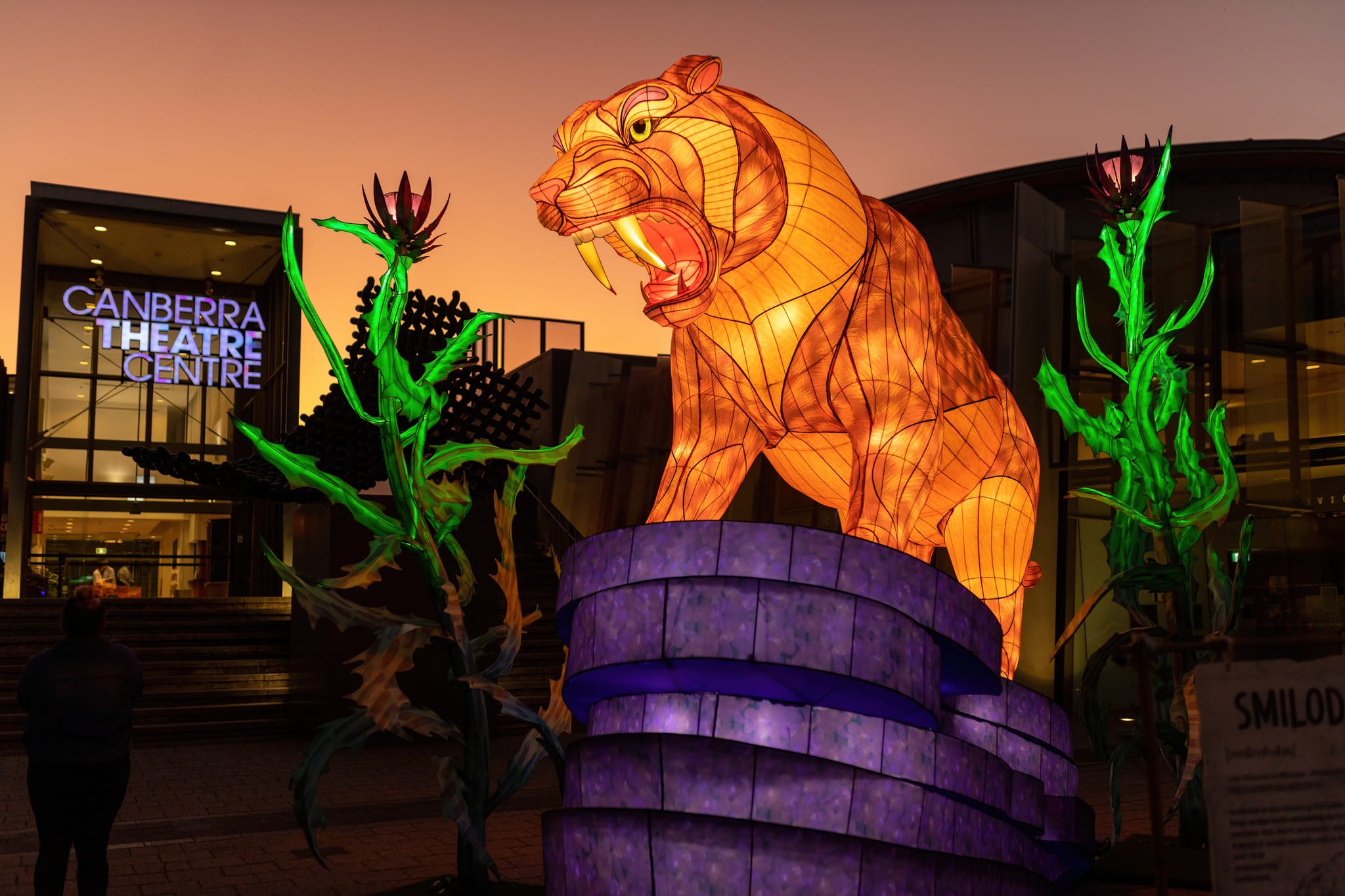 Image of illuminated tiger statue at Enlighten festival