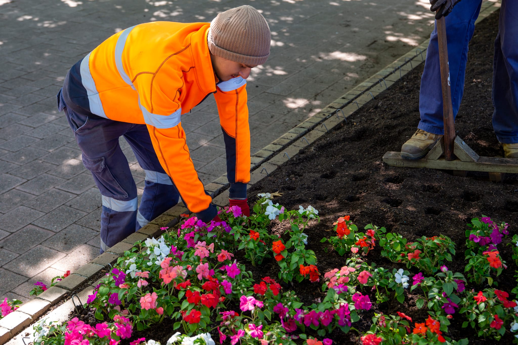 Our Place Team planting garden beds in City West