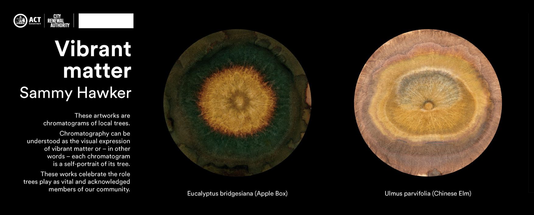 Artwork titles "Vibrant Matter" showing chromatograms of trees on black background.