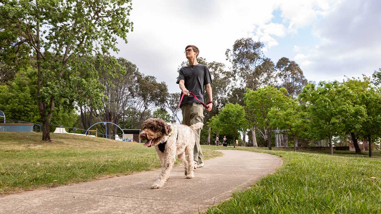 A person walks a dog on path outside.