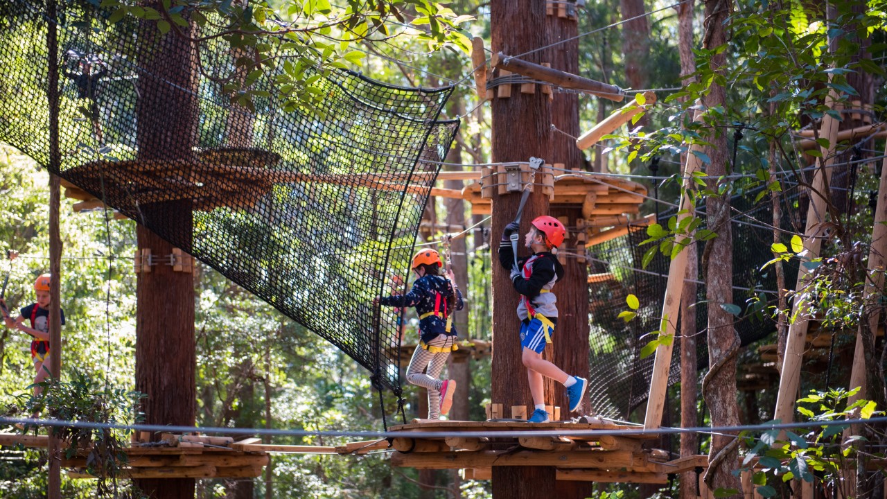 Children in harnesses exploring the Majura Pines, Treetops Adventure zipline course