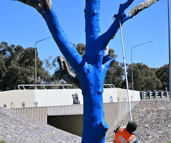 A tree being painted blue.