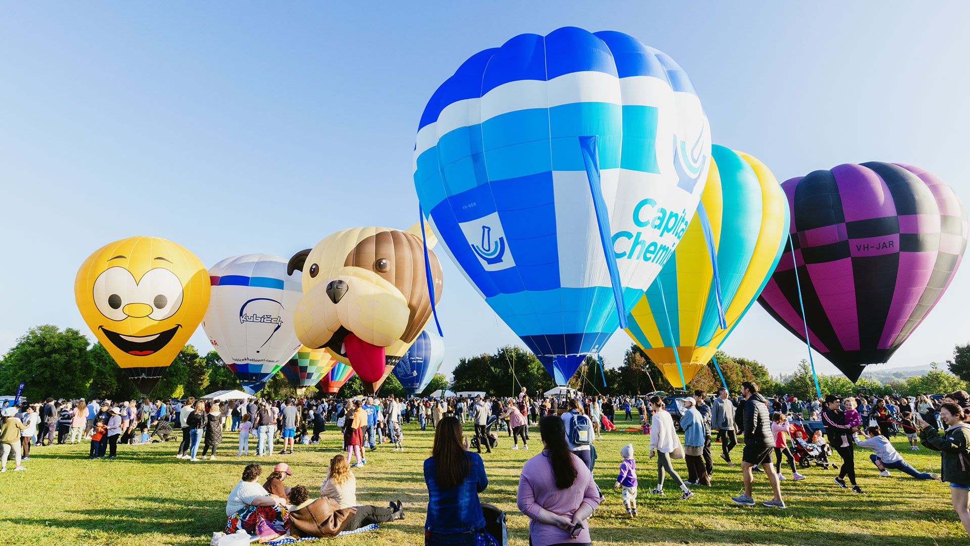 A crowd of people watch colourful hot air balloons which have inflated but are still sitting on the grass.