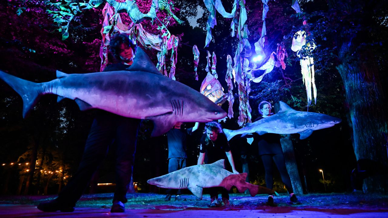 Underwater scene featuring shark performers. 