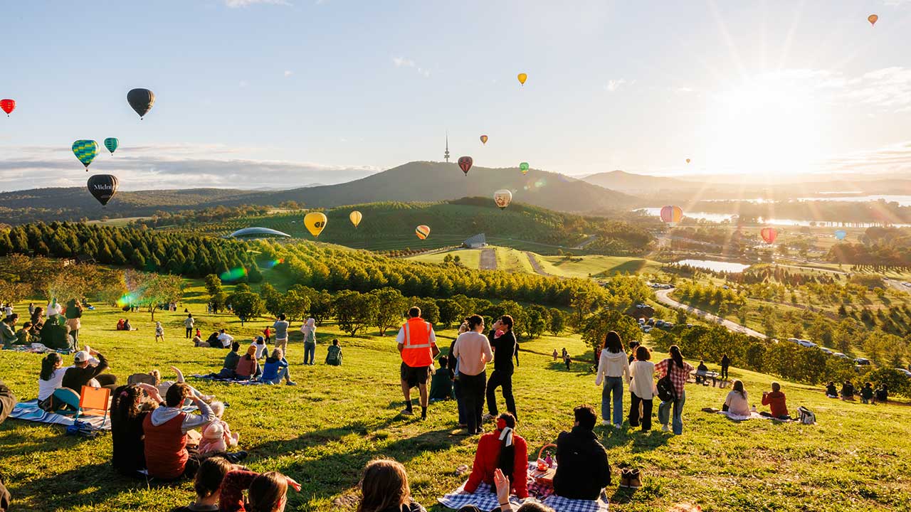 Hot air balloons floating over a sunlit landscape as people sit and stand on a grassy hill watching.