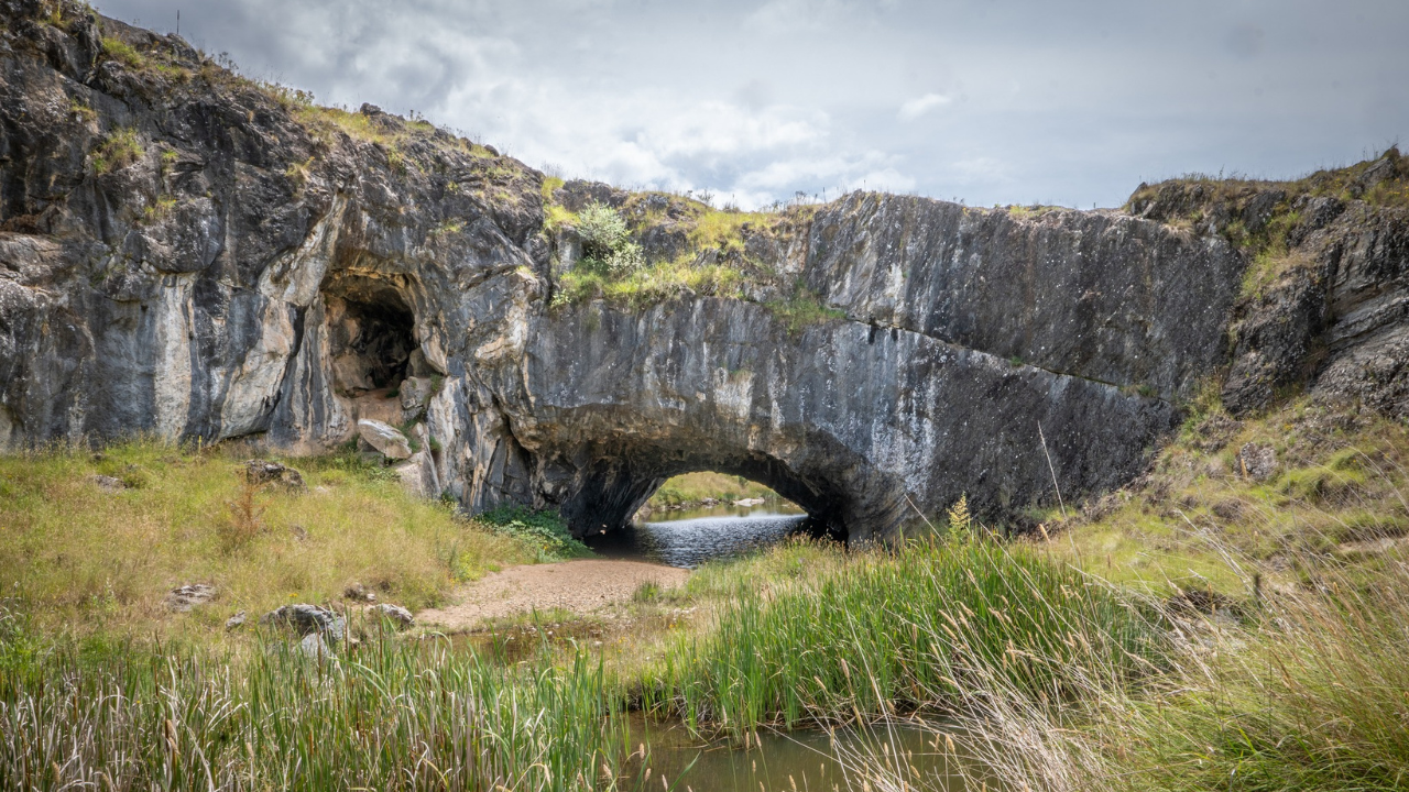 A large rock formation sits amongst nature.