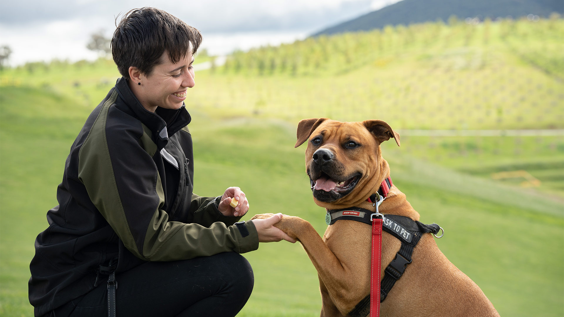 A woman looks at a dog, who is looking at the camera. She holds the dog's paw. There is green grass and trees in the background.
