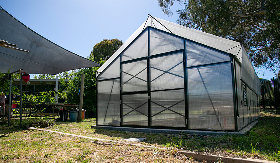 Large green house