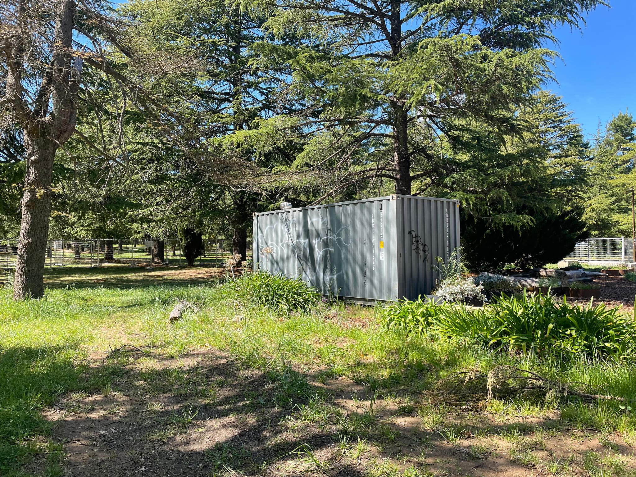 The shipping container in Haig Park prior to the new artwork. It is grey and features illegal graffiti tags.