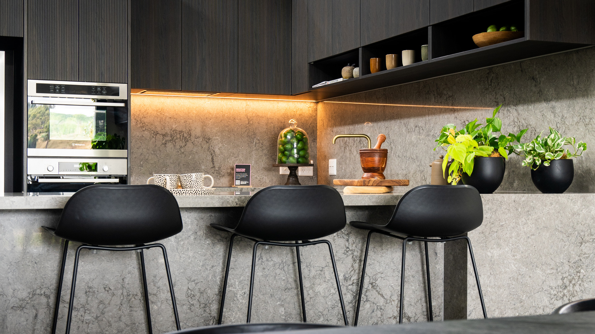 A modern kitchen with potted plants on the counter