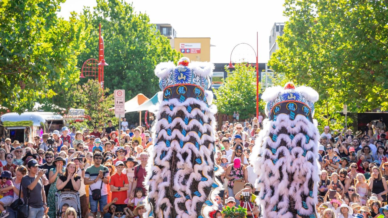Chinese lion dancers wow crowd. 